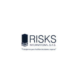 Risks International