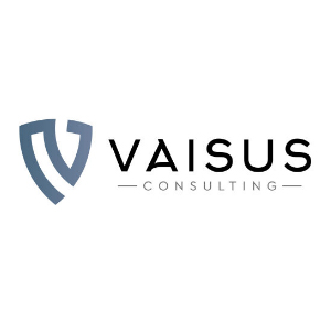 Vaisus Business Plans